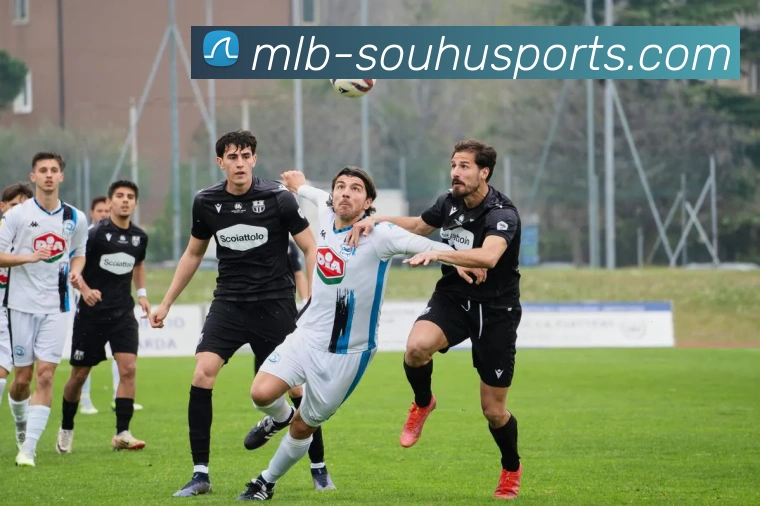 搜狐体育服务体系